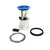 Audi Fuel Pump Kit - Delphi 1K0919051DBKT2