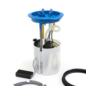 Audi Fuel Pump Kit - Delphi 1K0919051DBKT2