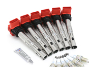 VW Ignition Coil & Spark Plug Service Kit - Eldor KIT-00627