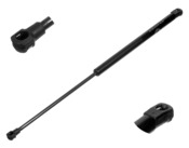 VW Hood Shock - Meyle 1401610815