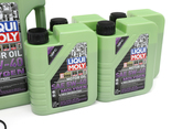 Audi Oil Change Kit - Liqui Moly 079198405EKT31