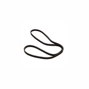Porsche Serpentine Belt - Dayco 6060728