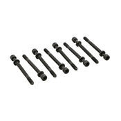 Audi VW Cylinder Head Bolt Set - Elring 804.250