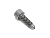 BMW Torx Screw (M8X20-Pc-8.8) - Genuine BMW 07129905491