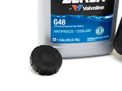 Mercedes Expansion Tank Kit with Coolant - OE Supplier 2035000049KT