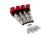 Audi Ignition Tune-Up Kit - Bosch 06A905115DKT6