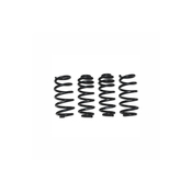 Audi Lowering Spring Kit - 034Motorsport 0344041018