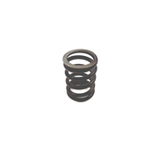 VW Valve Spring - Genuine VW 021109623P