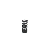 Audi VW Intake Valve Spring - Genuine VW Audi 06F109623