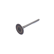 Audi VW Intake Valve - Genuine VW Audi 06K109601