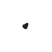 Audi VW Hood Panel Nut - Genuine VW Audi WHT001308