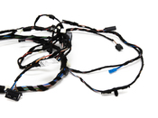 BMW Wiring Set Door Co-Driver - Genuine BMW 61129259828