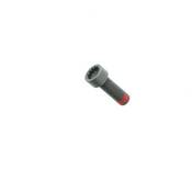 Porsche Clutch Flywheel Bolt - Genuine Porsche PAF906651