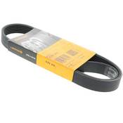 Mercedes Belt 6K X 915 - Contitech 0039934296