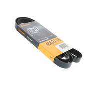 Porsche Serpentine Belt - Continental 4060715