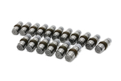Audi Rocker Arm Kit - INA 06E109417PKT