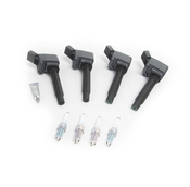 Porsche Ignition Coil Kit - Genuine Porsche PAC905110BKT