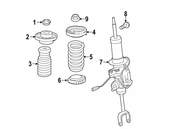 BMW Coil Spring - Genuine BMW 31336858424