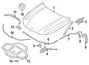 BMW Hood Seal - Genuine BMW 51767349599