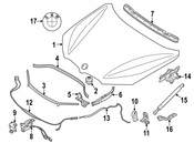 BMW Hood Lift Support - Genuine BMW 51237329410