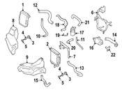 Audi VW Radiator Screw - Genuine VW Audi N90917201