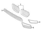 BMW Grid Lateral Left (MPaket) - Genuine BMW 51118038061