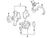 Mercedes Engine Coolant Bypass Hose  - Genuine Mercedes 1562030115