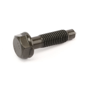 BMW Seat Adjuster Bolt - Genuine BMW 52108211438
