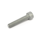 BMW Fillister Head Screw (M5X25) - Genuine BMW 07119919959