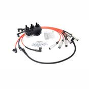 VW Ignition Service Kit - Bremi KIT-021905106KT2