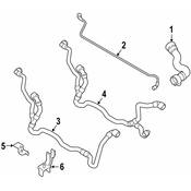 BMW Coolant Hose - Genuine BMW 17127578404