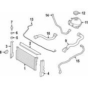 BMW Engine Coolant Recovery Tank Hose - Genuine BMW 17128514238