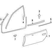 BMW Door Seal - Genuine BMW 51718399176