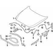 BMW Front Engine Hood Sealing - Genuine BMW 51767239145