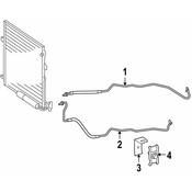 Mercedes Automatic Transmission Oil Cooler Hose - Genuine Mercedes 1645001772