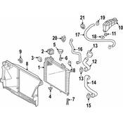 Mercedes Expansion Tank Hose - Genuine Mercedes 2105001472