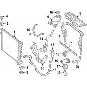 Mercedes Engine Coolant Hose  - Genuine Mercedes 2185013482