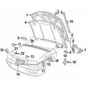 Volkswagen Hood Seal - Genuine VW 1H0823723A