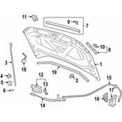Volkswagen Hood Hinge - Genuine VW 2GJ823301A