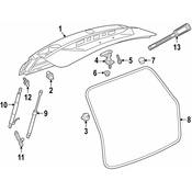 Volkswagen Hatch Seal - Genuine VW 3CN827705E5AP