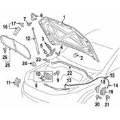 VW Hood Panel - Genuine VW 561823301C