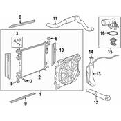 VW Radiator Hose - Genuine VW 7B0122051B