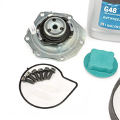 Volvo Water Pump Kit - Genuine Volvo 31219000KT