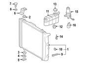 Mercedes Radiator Mount Nut - Genuine Mercedes 000000005649