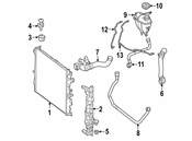 Mercedes Engine Coolant Overflow Hose - Genuine Mercedes 2225015091