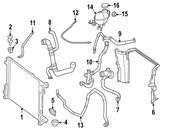 Mercedes Engine Coolant Overflow Hose - Genuine Mercedes 2315000175
