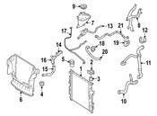 Mercedes Radiator Coolant Hose - Genuine Mercedes 2515011582