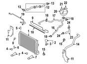 Saab Engine Coolant Overflow Hose - Genuine Saab 55556977