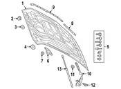 Audi Hood Hinge - Genuine Audi 4KE823301