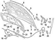 Audi Hood Hinge - Genuine Audi 80A823301C